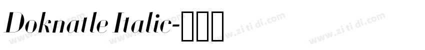 Doknatle Italic字体转换 Doknatle Italic字体转换